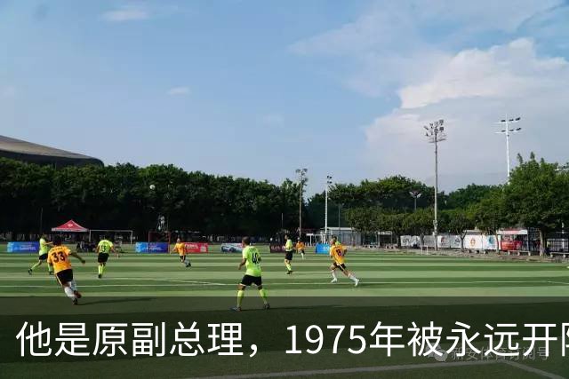 他是原副总理，1975年被永远开除党籍，1979年当选为副主席